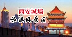 3d乱伦冒险中国陕西-西安城墙旅游风景区